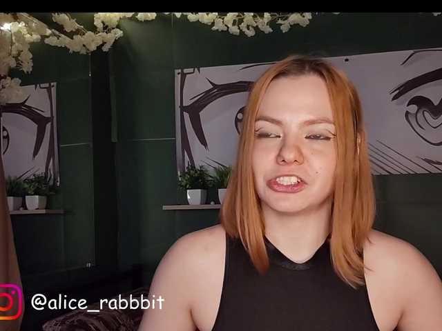 AliceRabbit