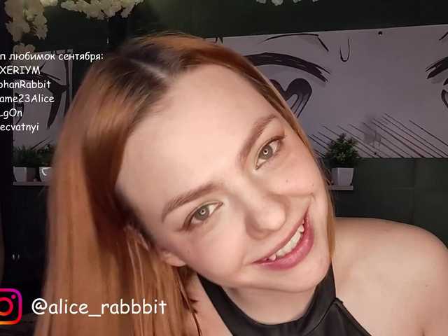 AliceRabbit