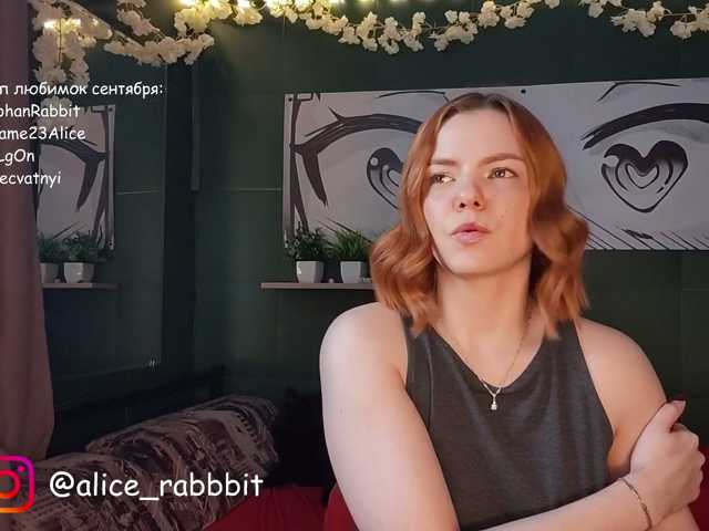 AliceRabbit