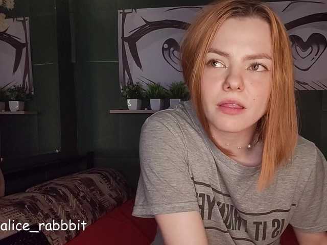 AliceRabbit