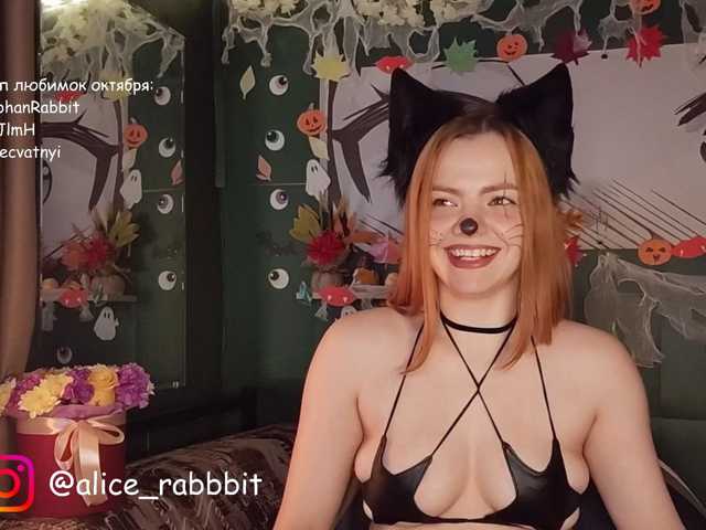 AliceRabbit