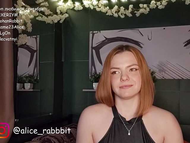 AliceRabbit