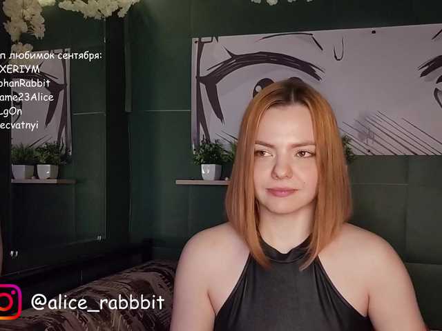 AliceRabbit live cam preview
