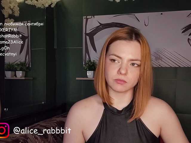 AliceRabbit