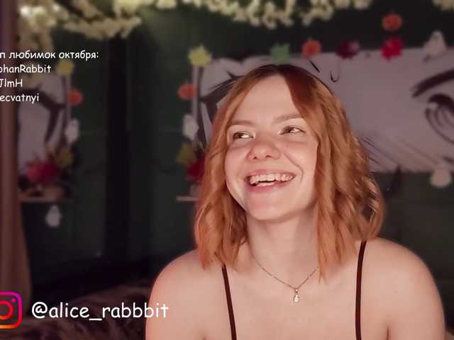 AliceRabbit