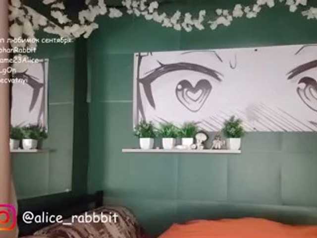 AliceRabbit