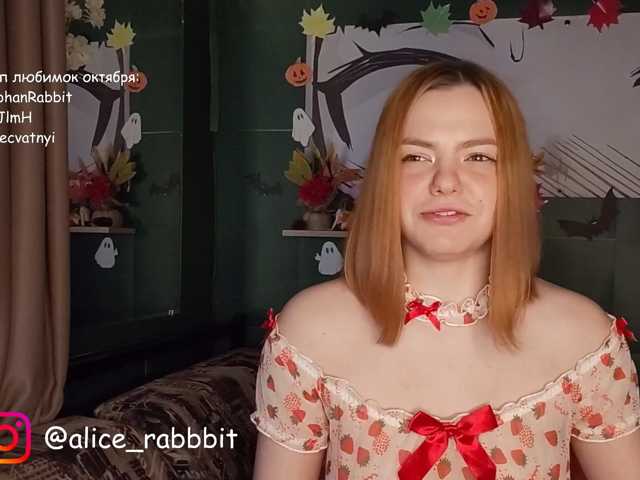 AliceRabbit