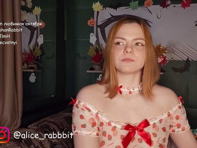 AliceRabbit