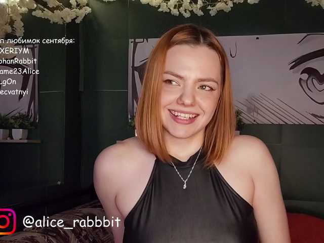 AliceRabbit