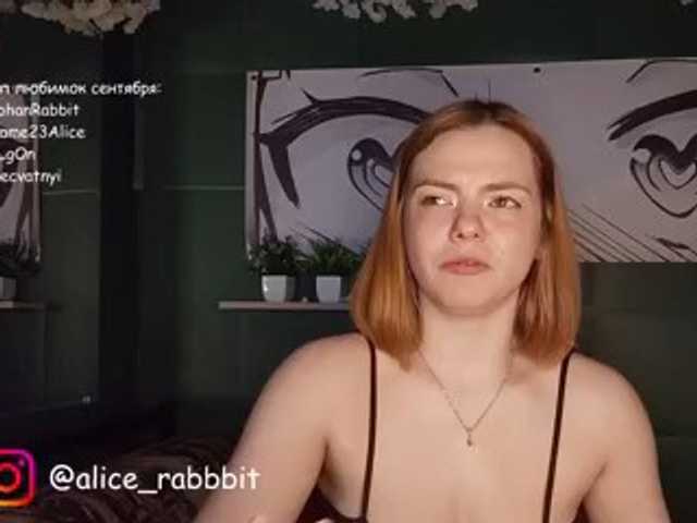 AliceRabbit