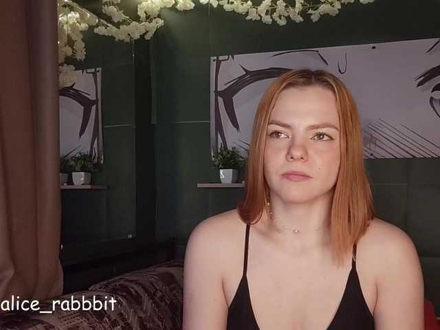 AliceRabbit live cam