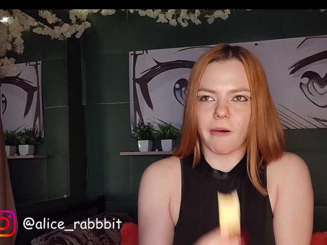 AliceRabbit