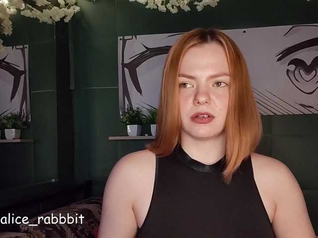 AliceRabbit