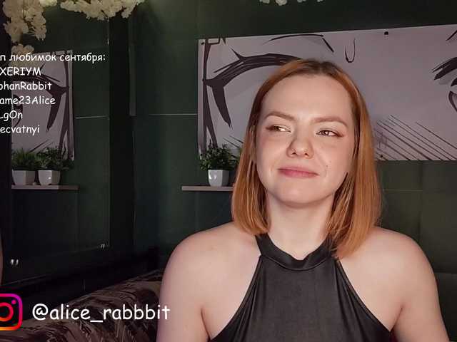 AliceRabbit