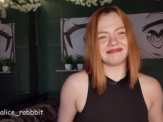 AliceRabbit