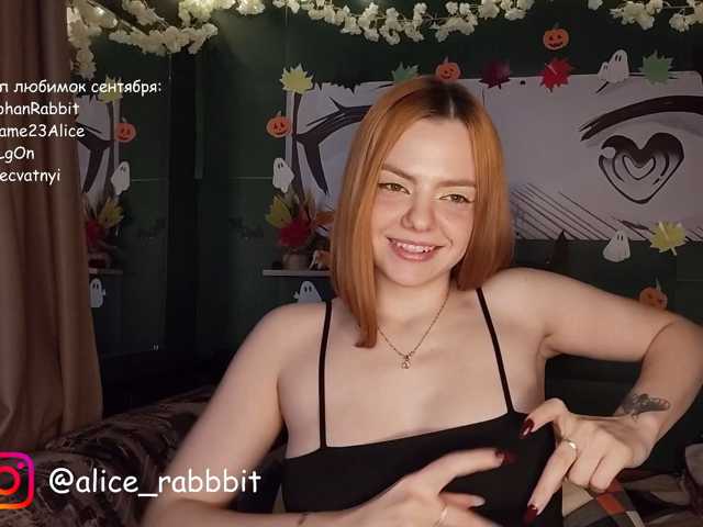 AliceRabbit