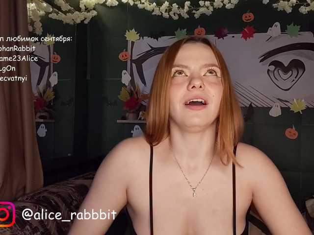 AliceRabbit