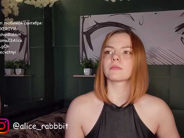AliceRabbit