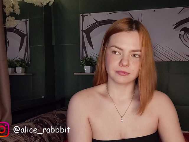 AliceRabbit