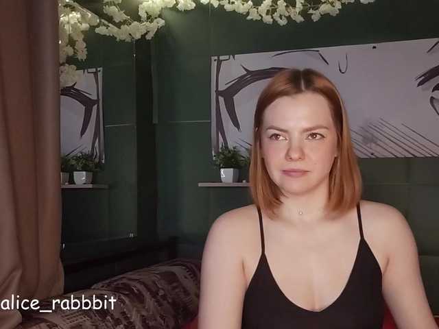 AliceRabbit