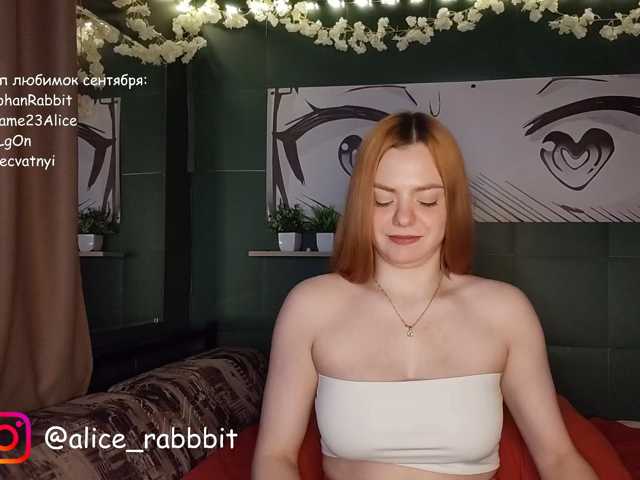 AliceRabbit