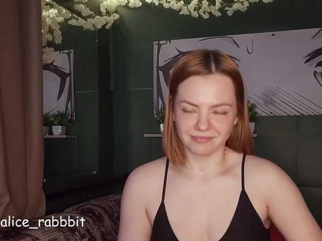 AliceRabbit