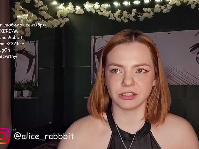 AliceRabbit