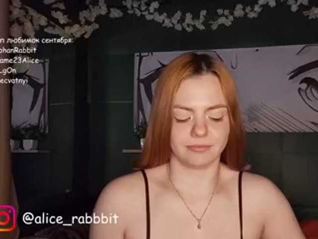 AliceRabbit