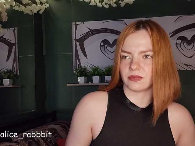 AliceRabbit