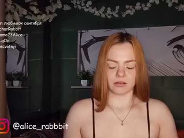 AliceRabbit