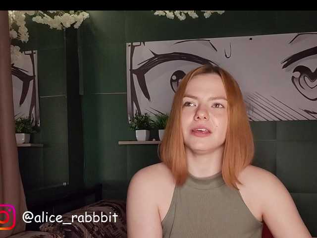 AliceRabbit
