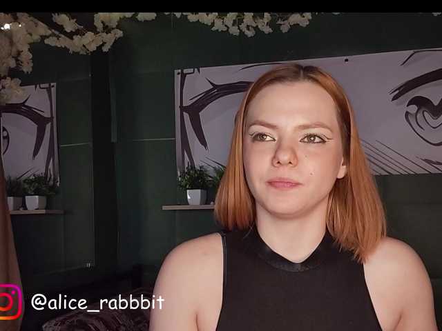 AliceRabbit