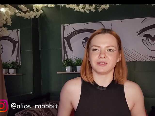 AliceRabbit