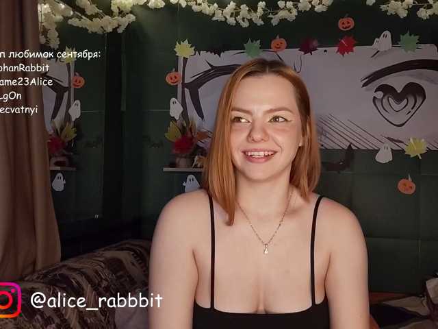 AliceRabbit