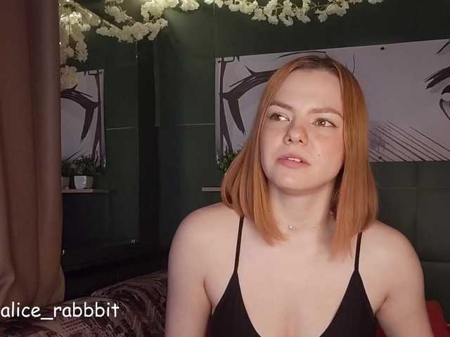 AliceRabbit