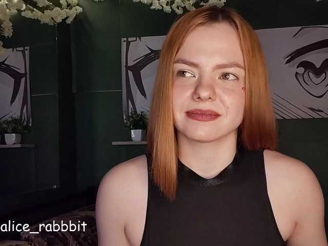 AliceRabbit