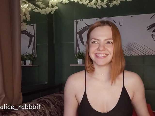 AliceRabbit