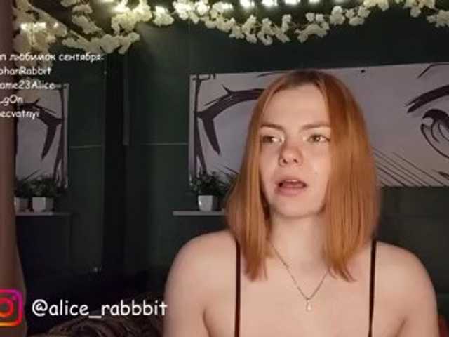 AliceRabbit