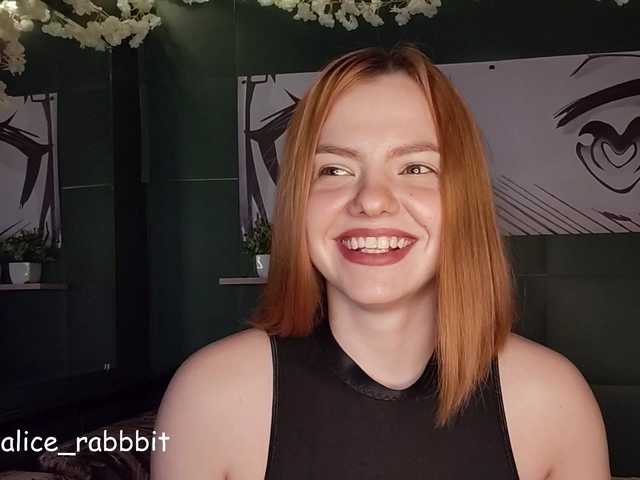 AliceRabbit
