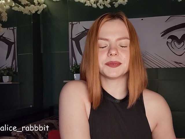 AliceRabbit