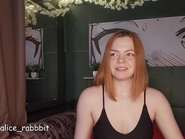 AliceRabbit