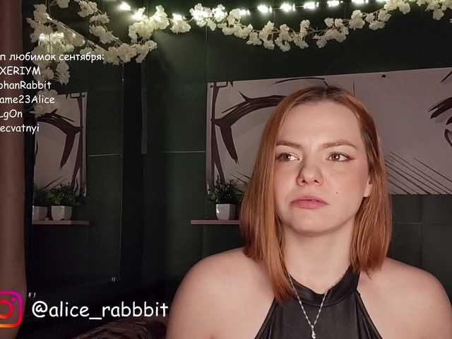 AliceRabbit