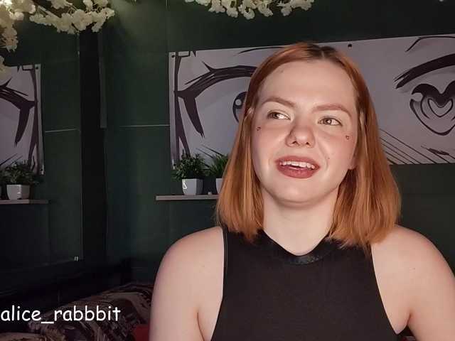 AliceRabbit