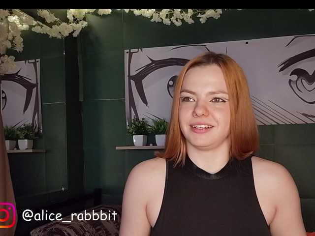 AliceRabbit