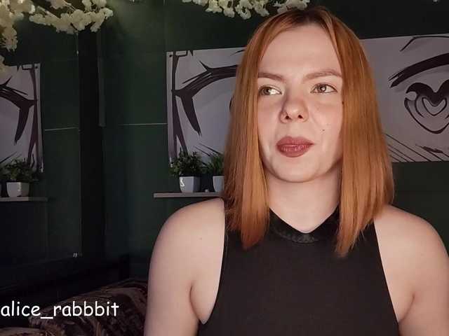 AliceRabbit live cam preview