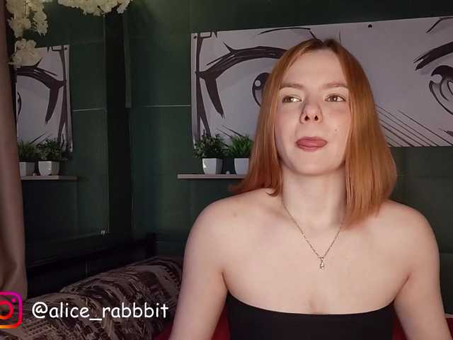 AliceRabbit