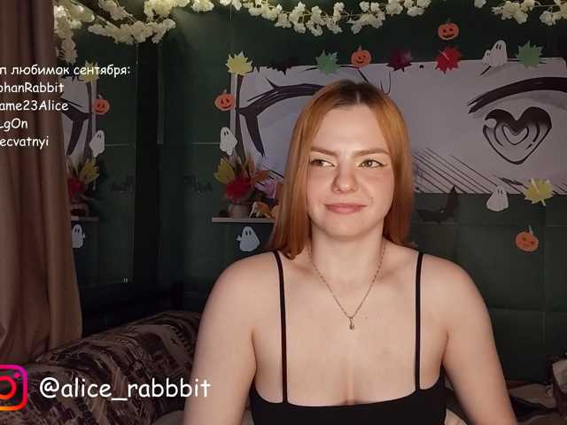 AliceRabbit
