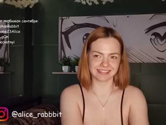 AliceRabbit