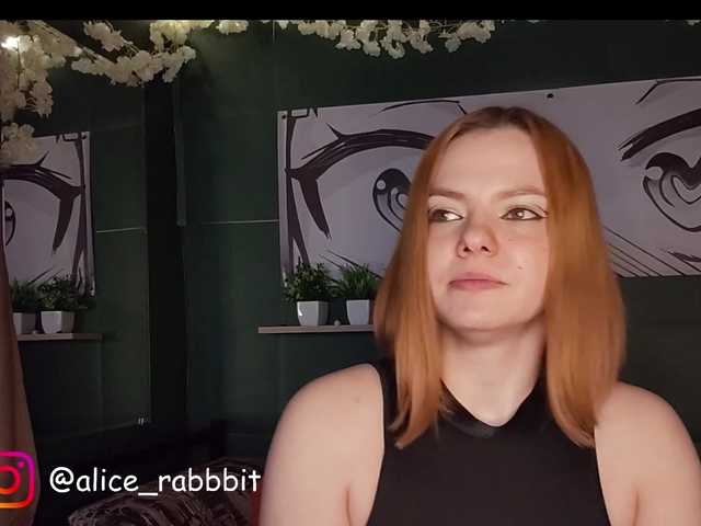 AliceRabbit