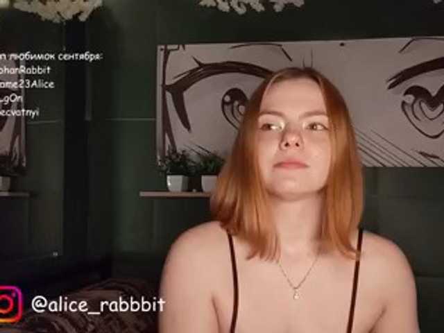 AliceRabbit